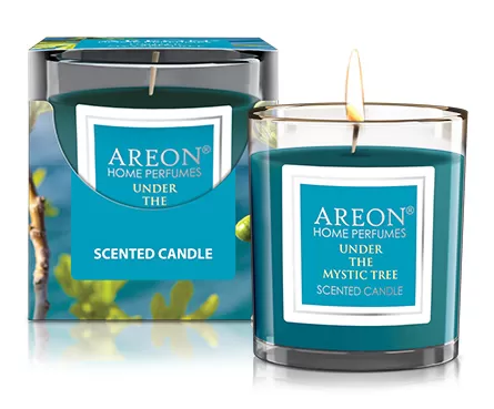 Areon Scented Candle Under the mystic Tree 120гр